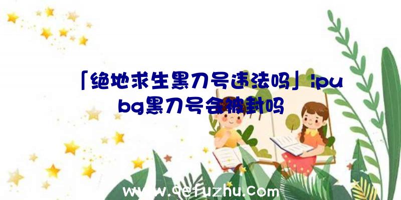 「绝地求生黑刀号违法吗」|pubg黑刀号会被封吗